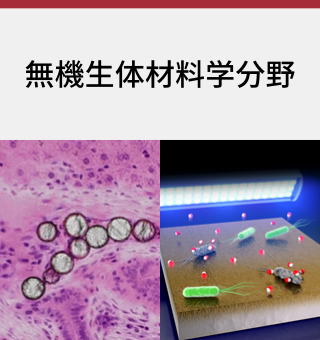 無機生体材料学分野