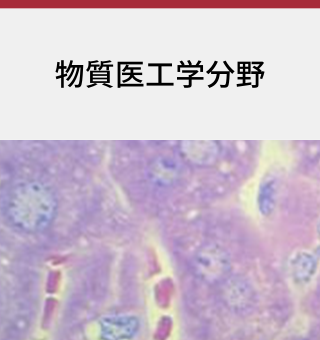 物質医工学分野