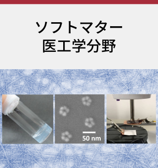 ソフトマター医工学分野