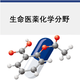 生命医薬化学分野