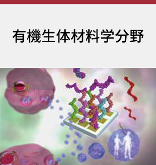 有機生体材料学分野
